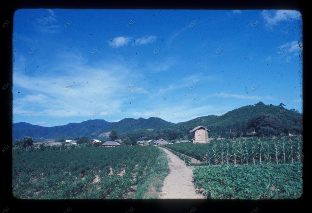1975년 의인