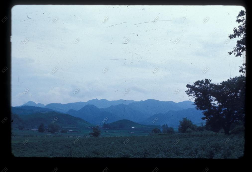 1975년 의인