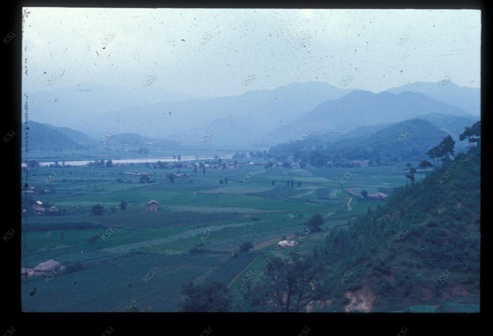 1975년 의인