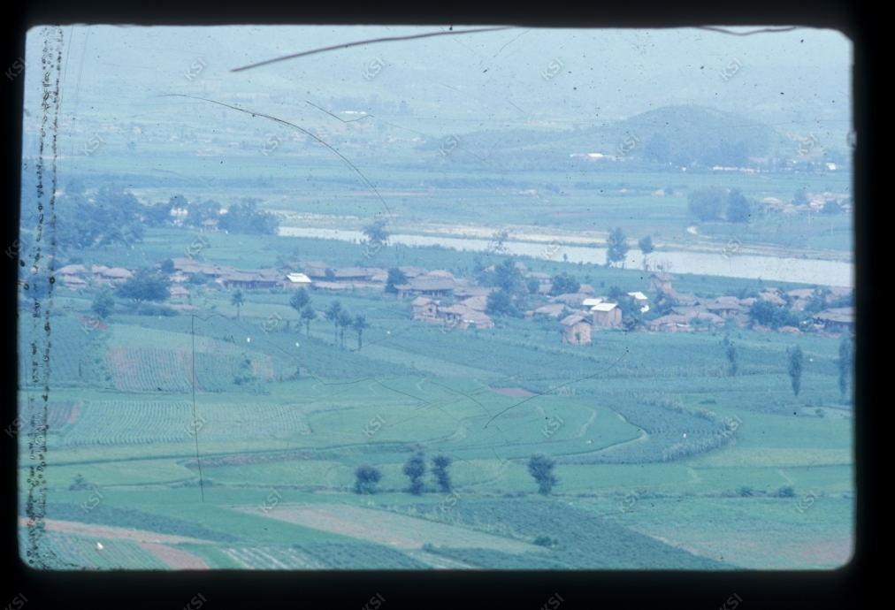 1975년 의인