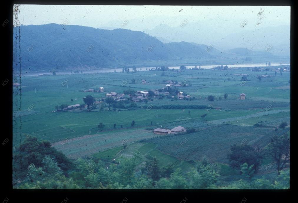 1975년 의인