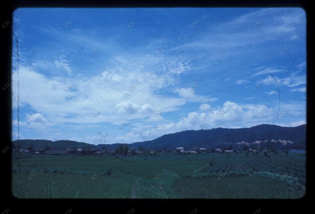 1975년 의인