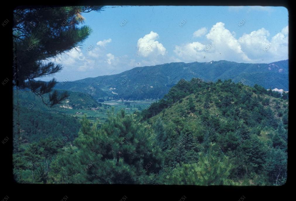 1975년 의인