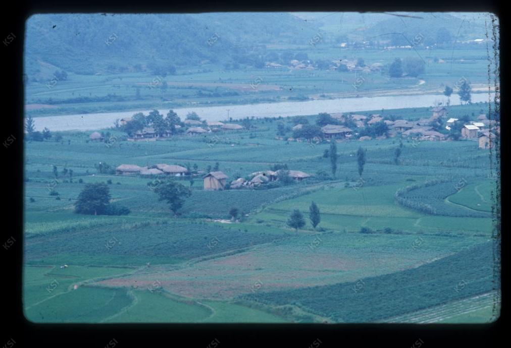1975년 의인