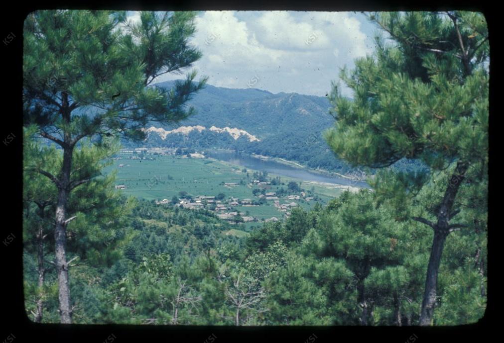 1975년 의인