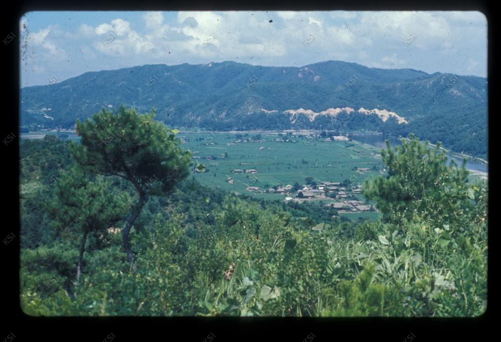 1975년 의인