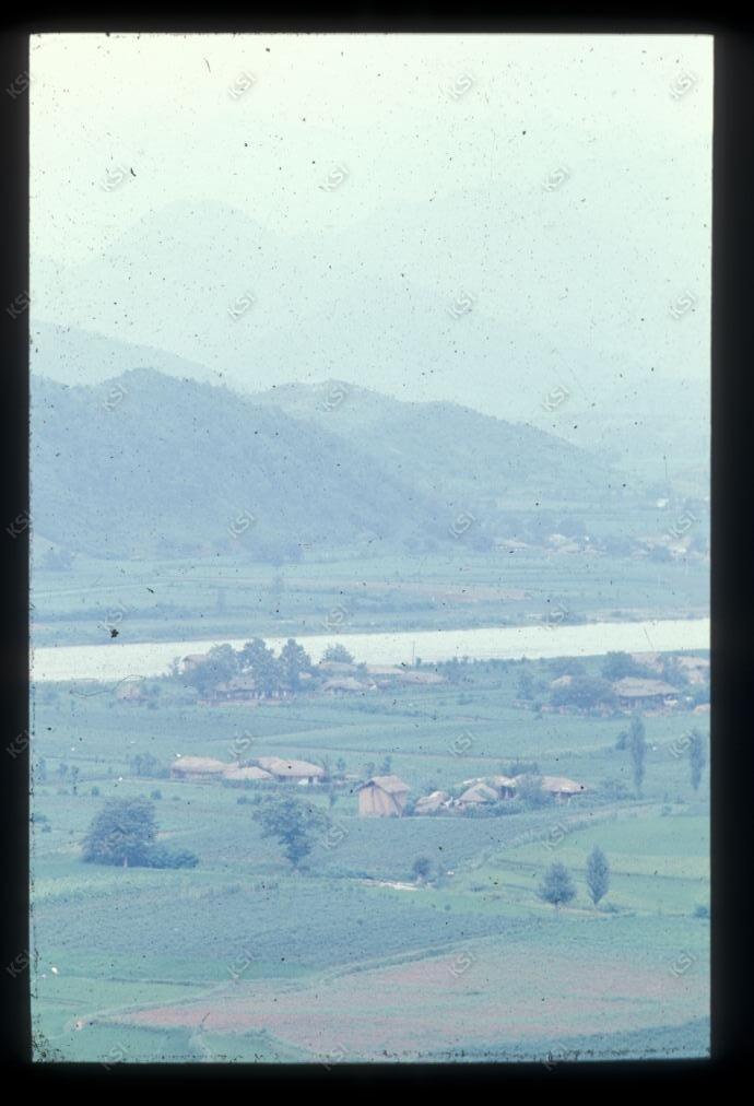 1975년 의인