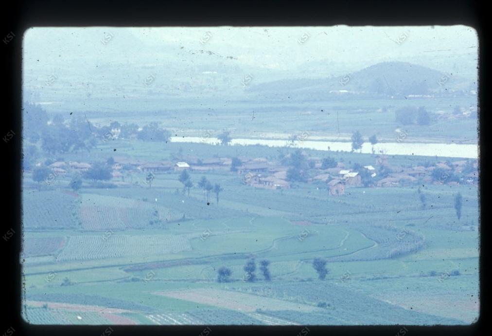 1975년 의인