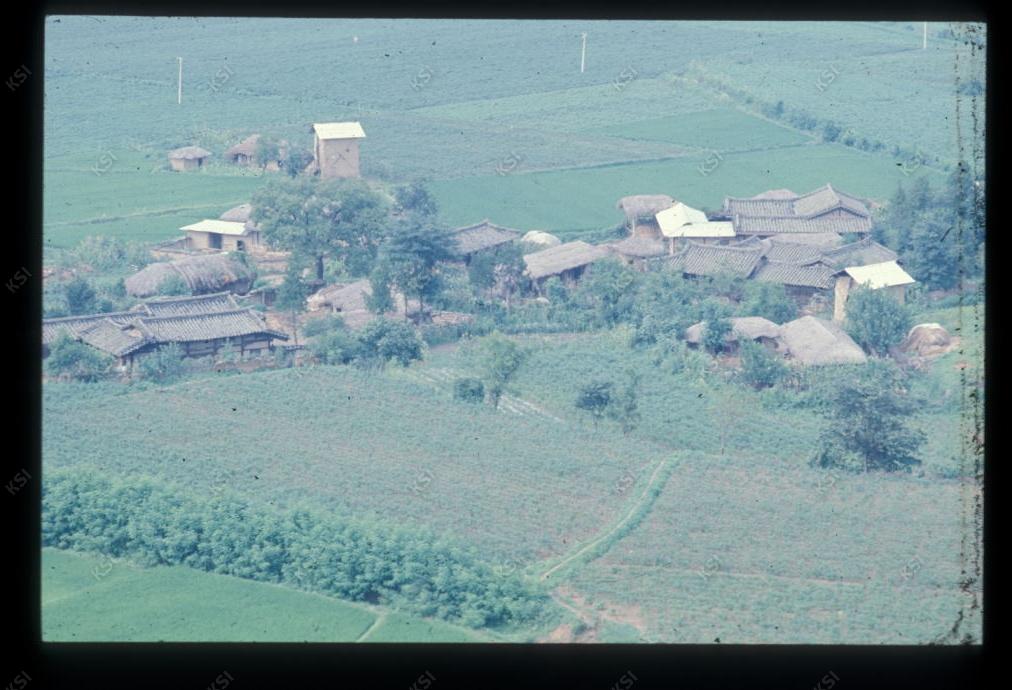 1975년 의인