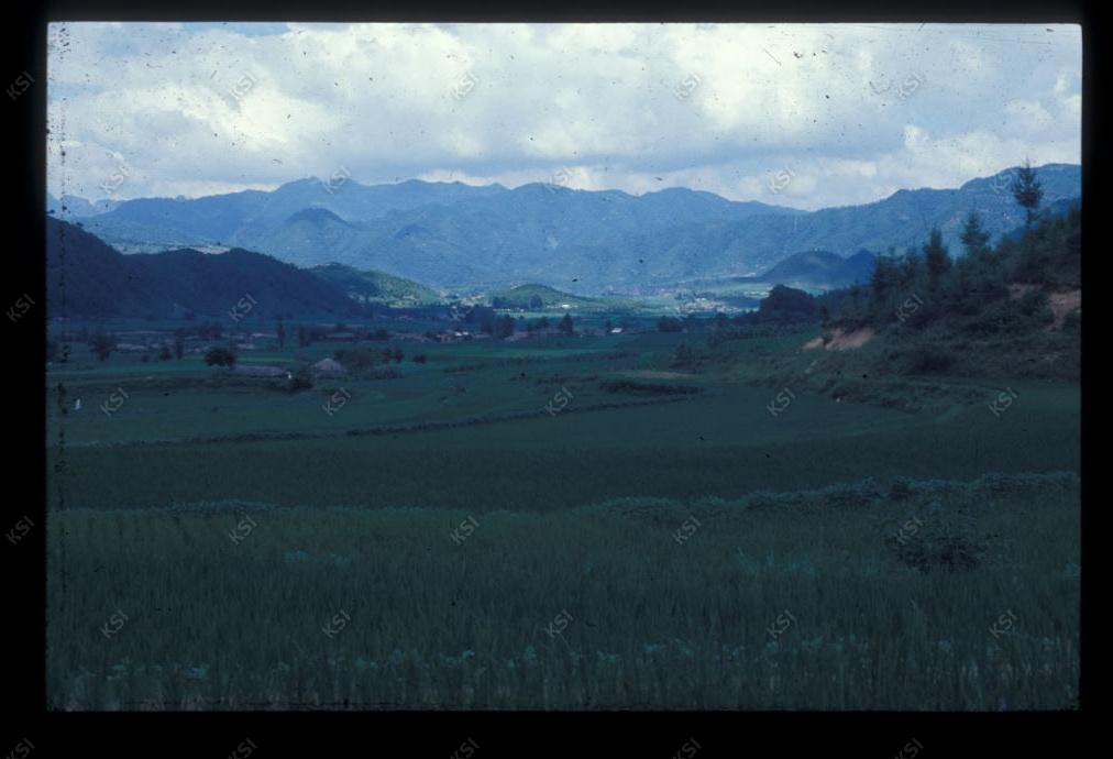 1975년 의인