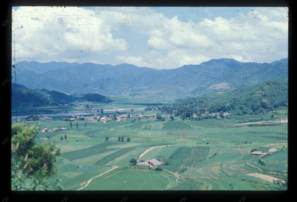 1975년 의인