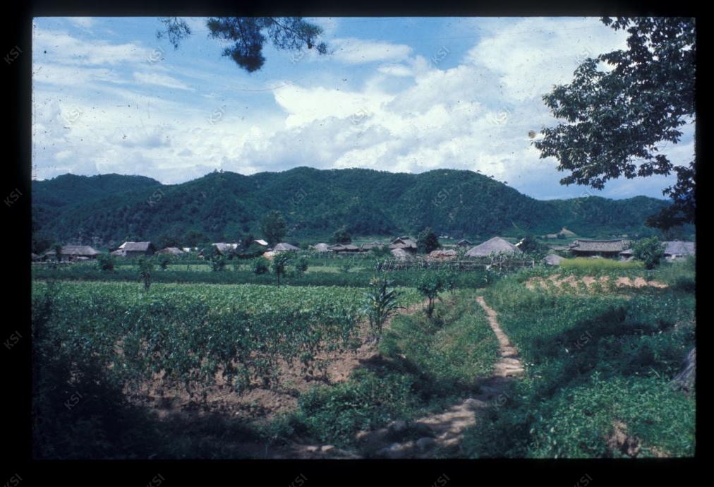 1975년 의인