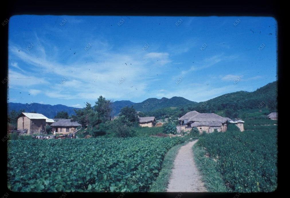 1975년 의인