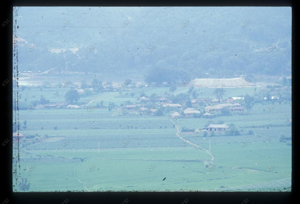 1975년 의인