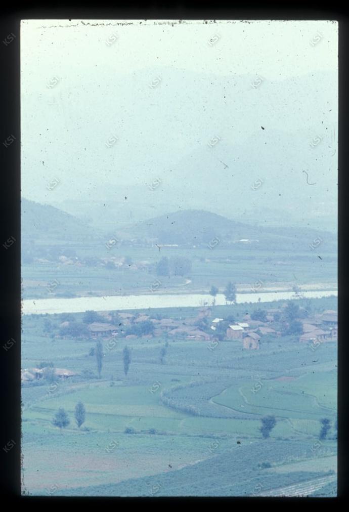 1975년 의인