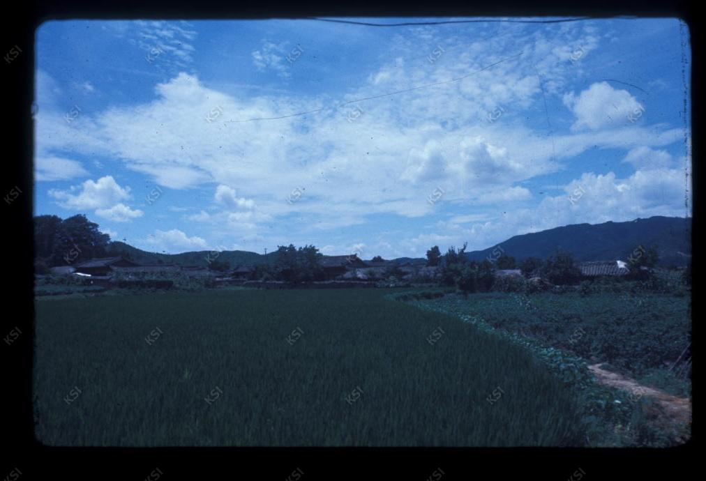 1975년 의인