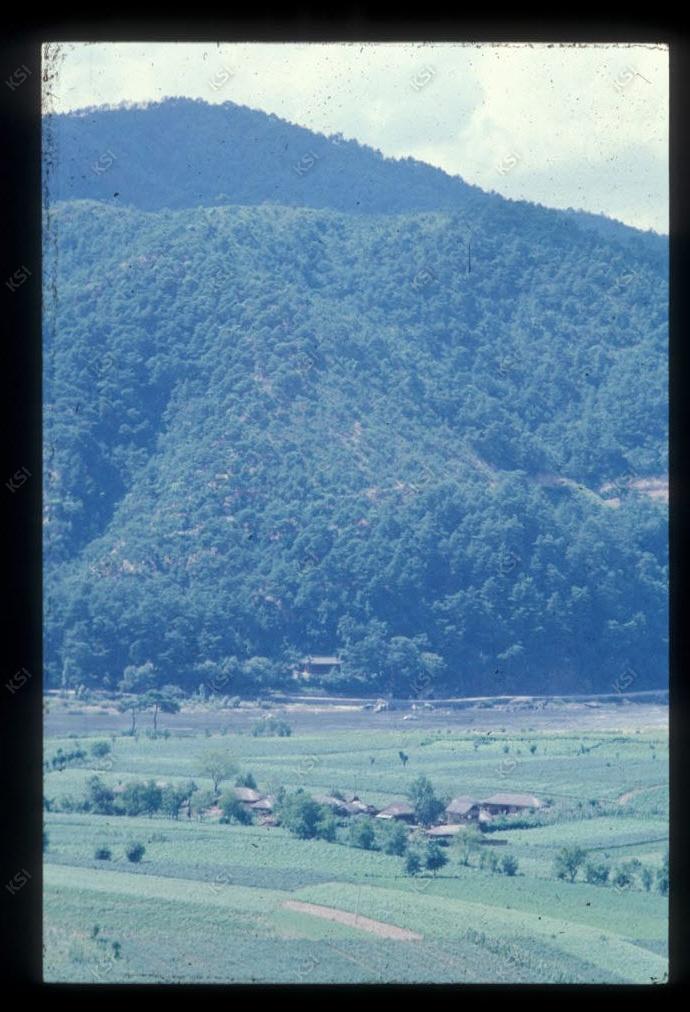 1975년 의인