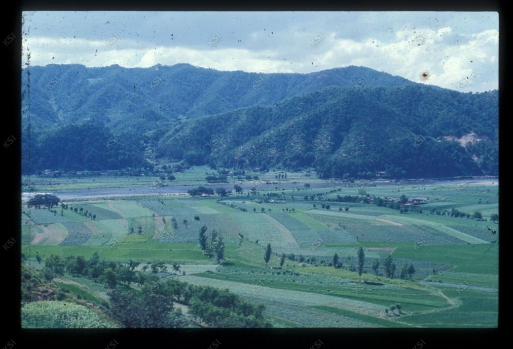 1975년 의인
