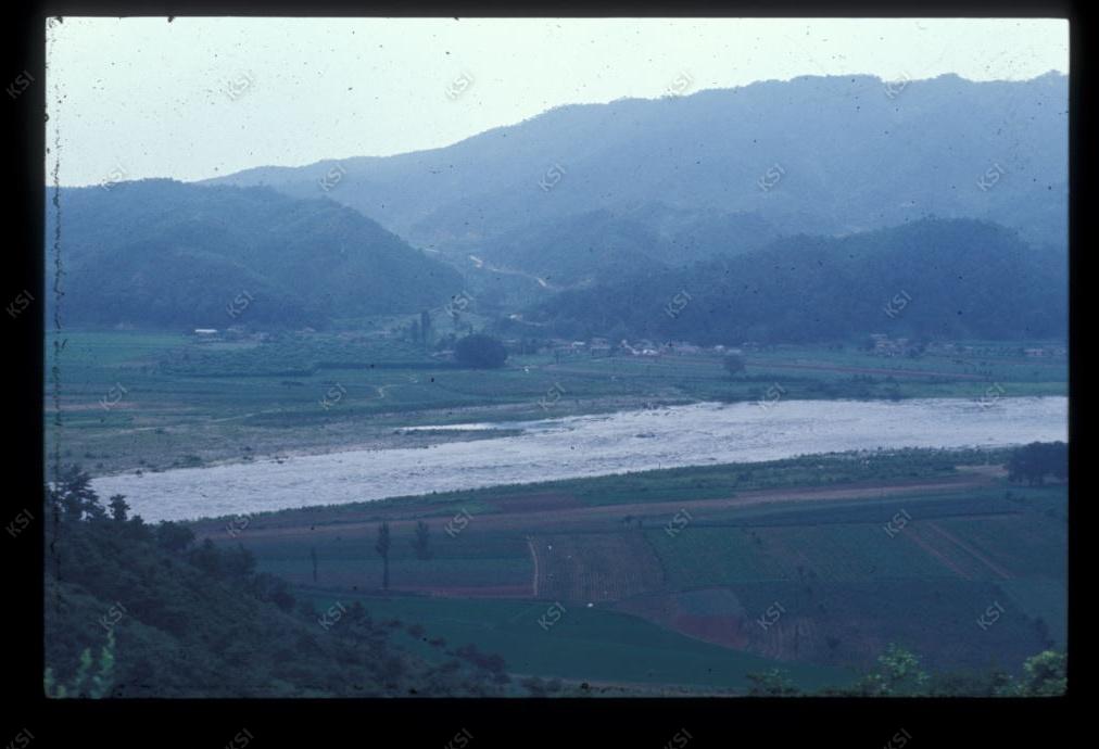 1975년 의인