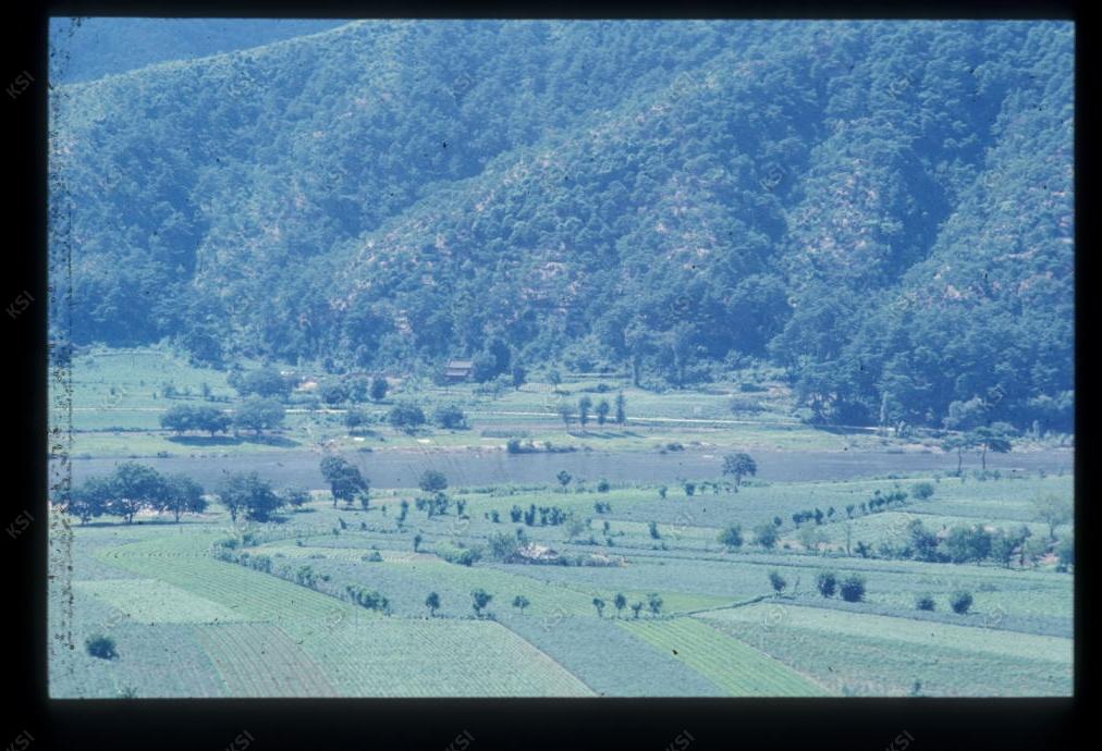 1975년 의인