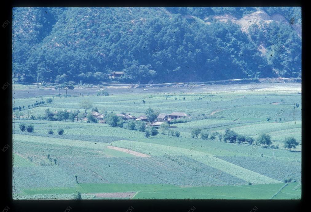 1975년 의인