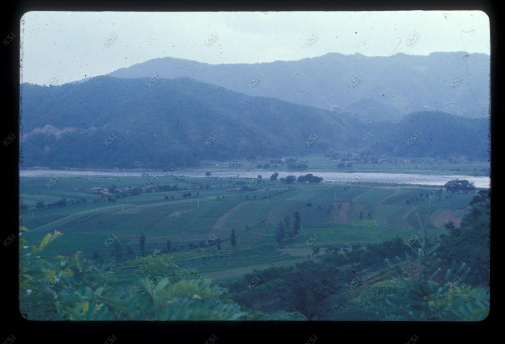 1975년 의인