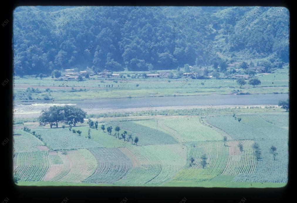 1975년 의인