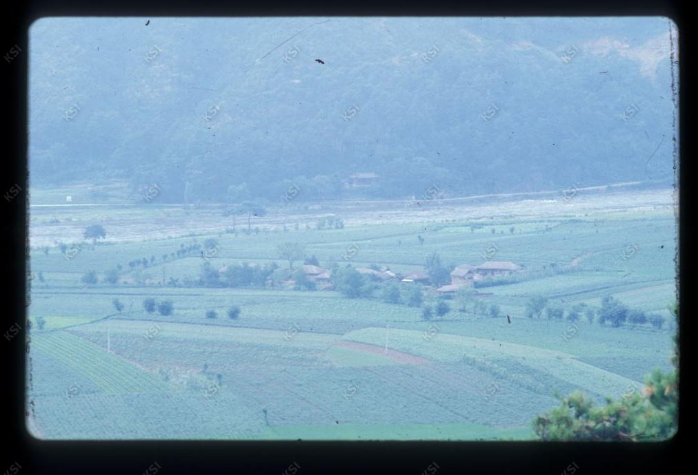 1975년 의인