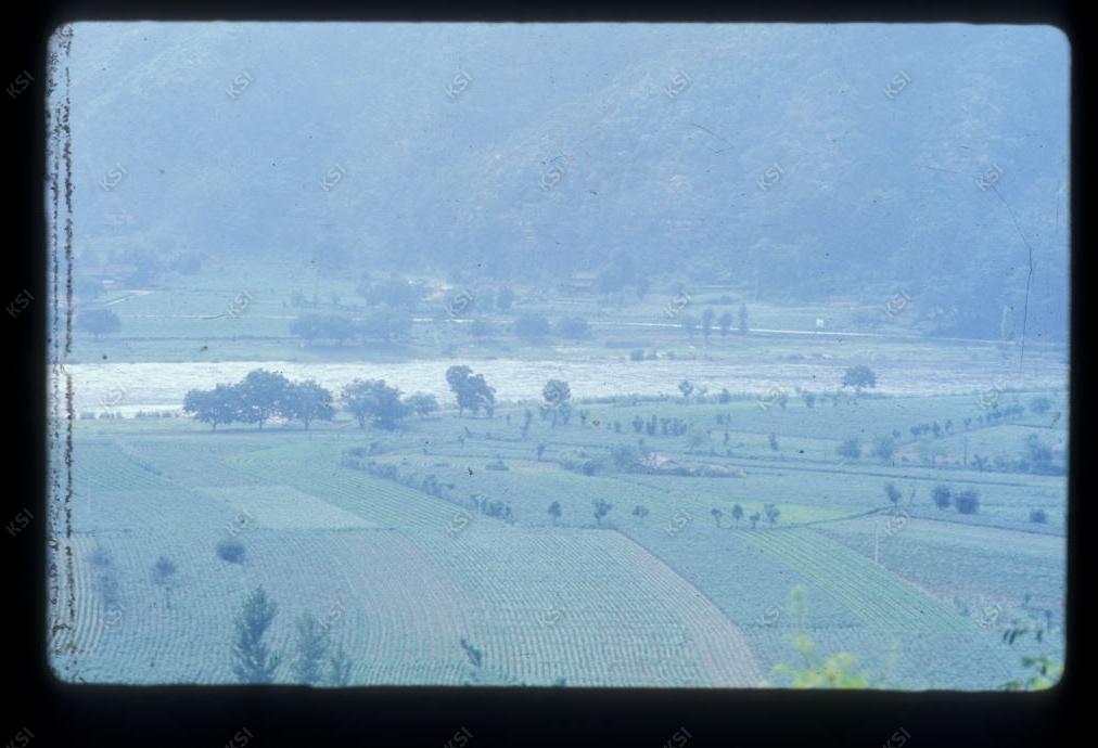 1975년 의인