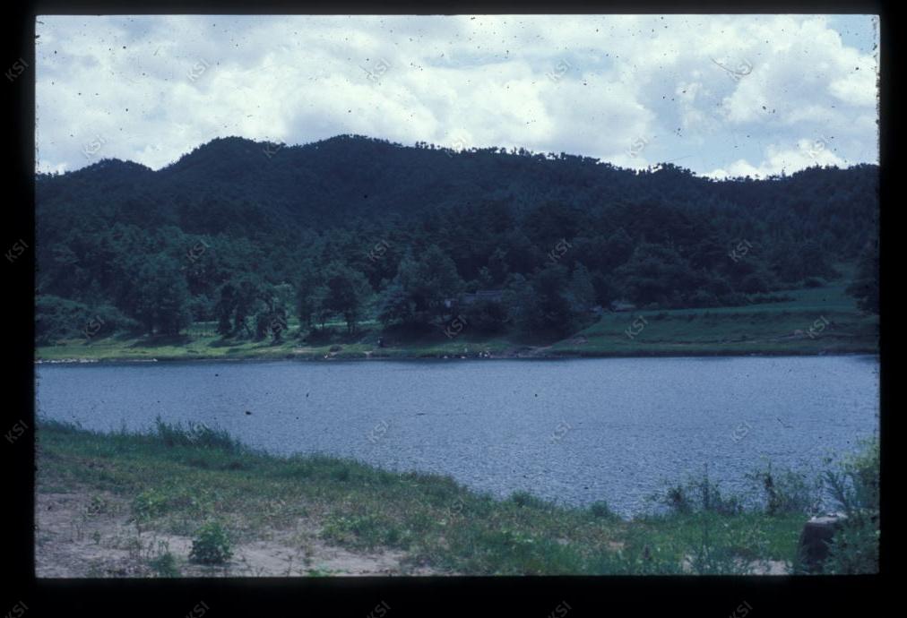 1975년 의인