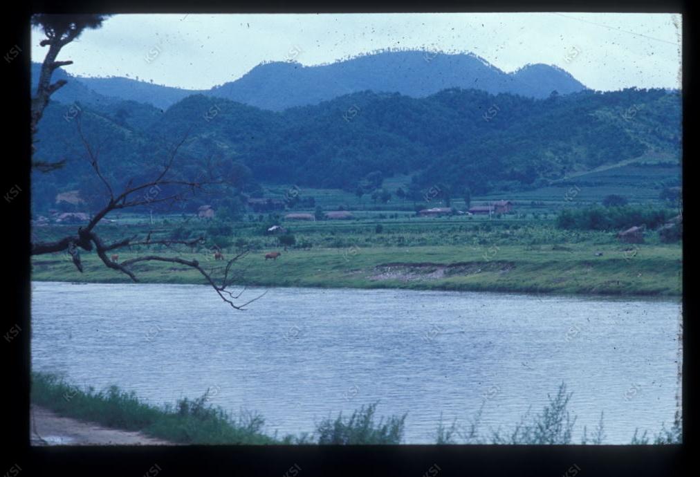 1975년 의인