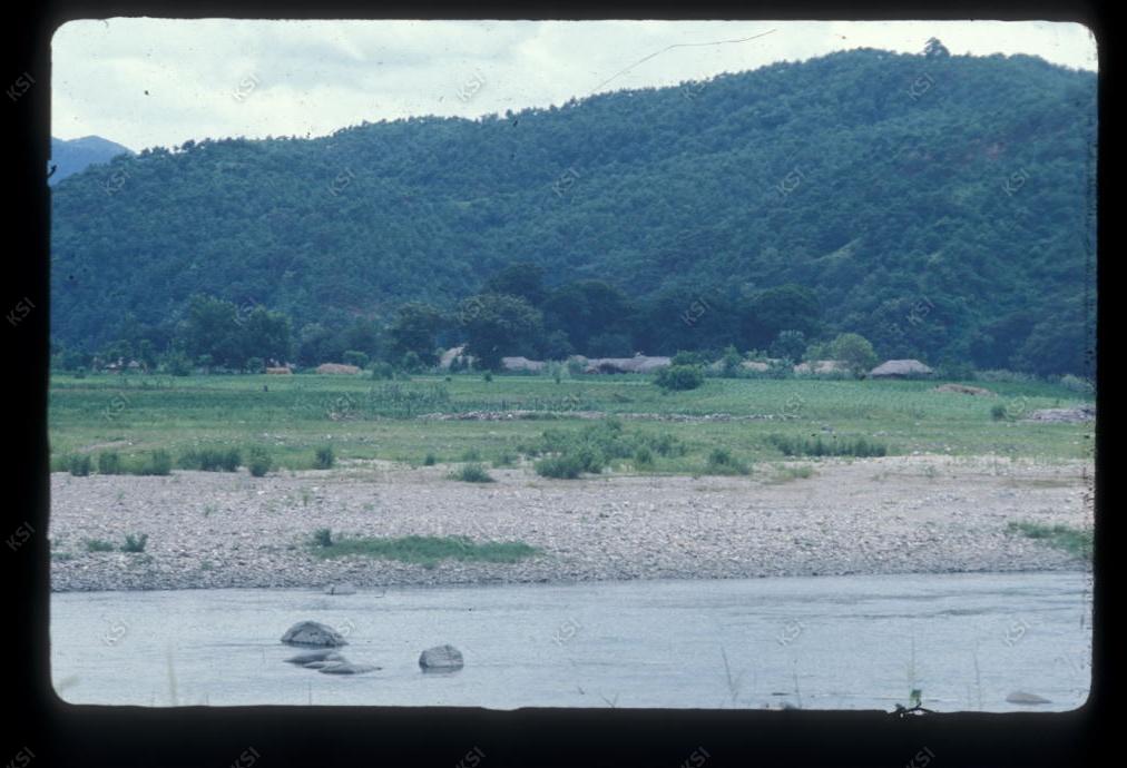 1975년 의인