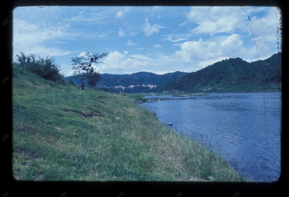 1975년 의인