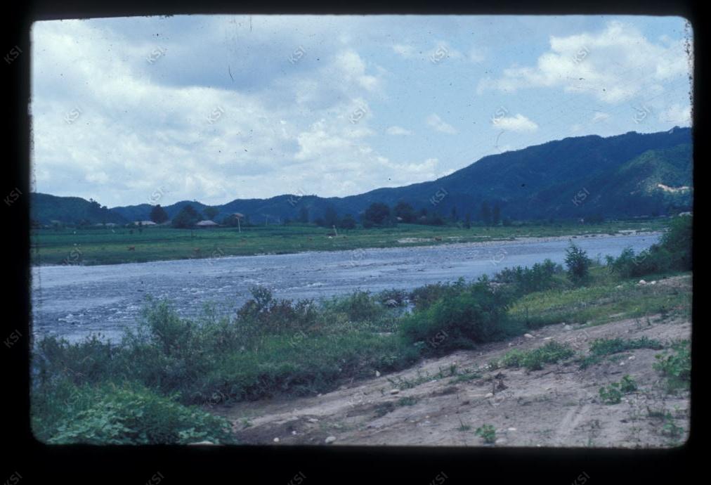 1975년 의인