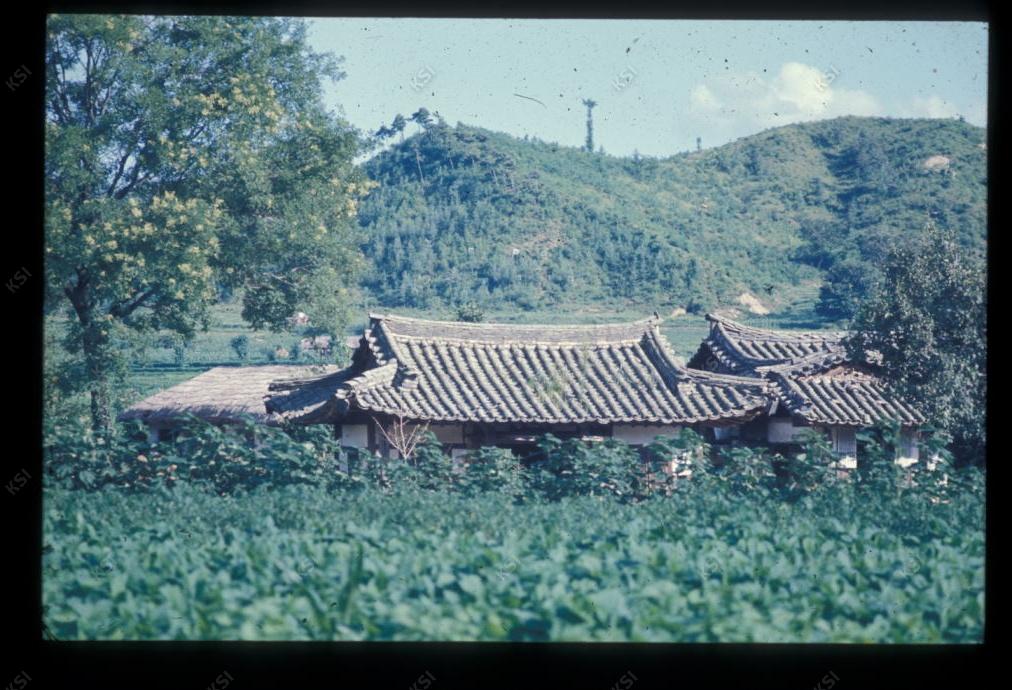 1975년 의인