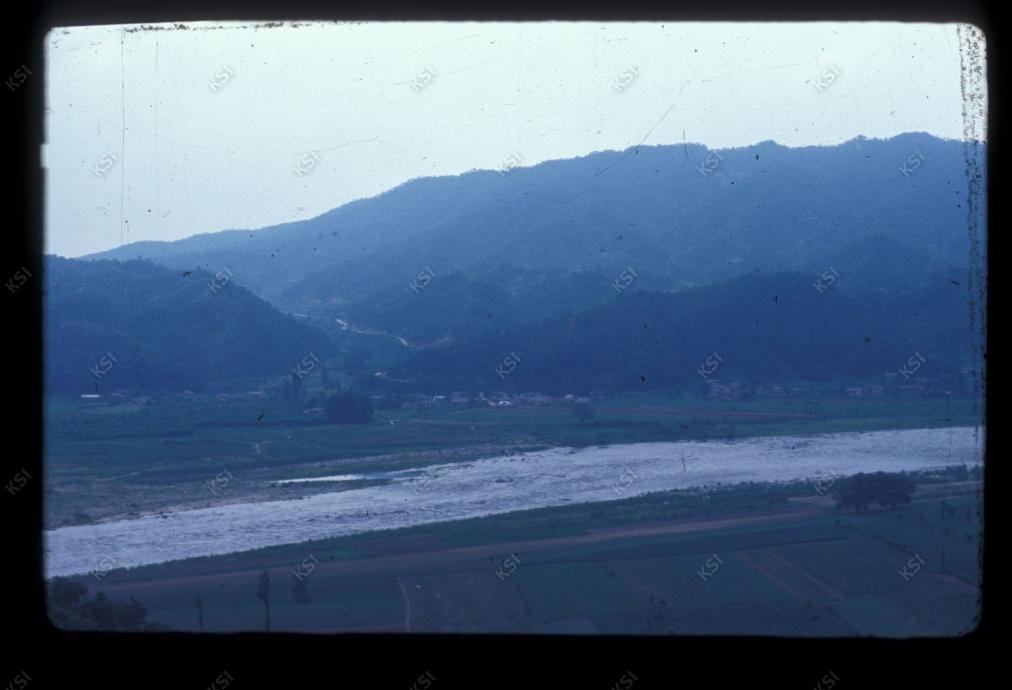 1975년 의인