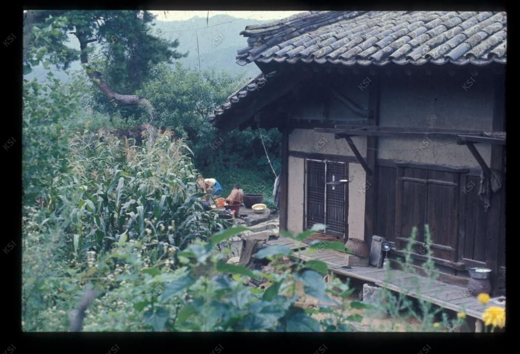 1975년 의인