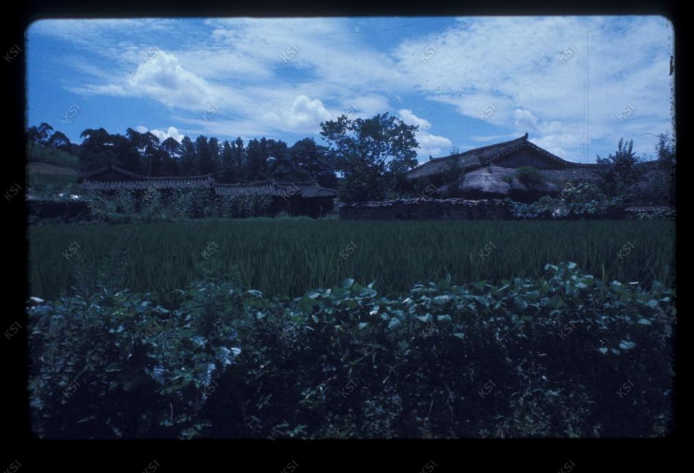 1975년 의인