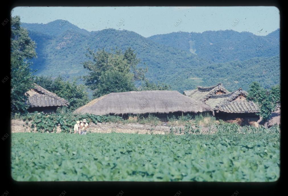 1975년 의인
