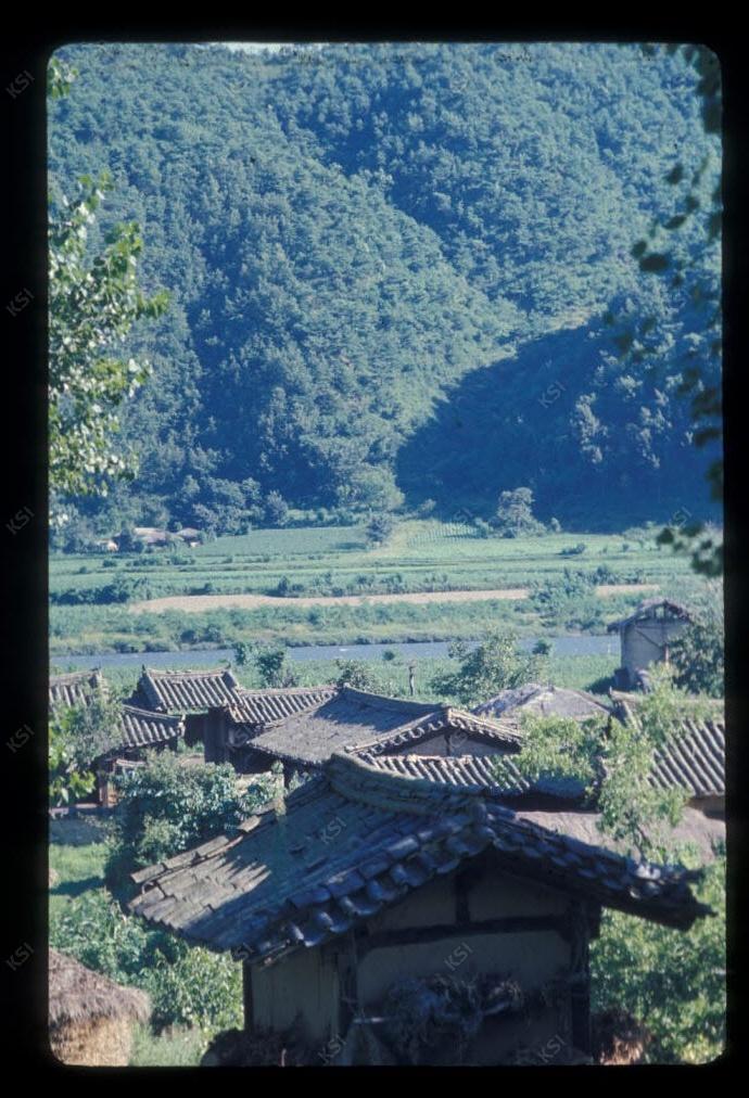 1975년 의인
