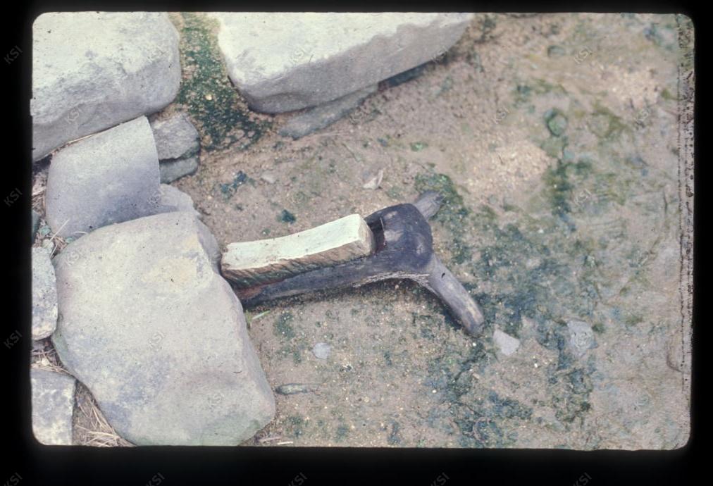 1975년 의인