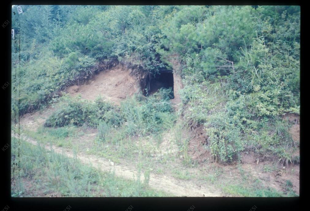1975년 의인