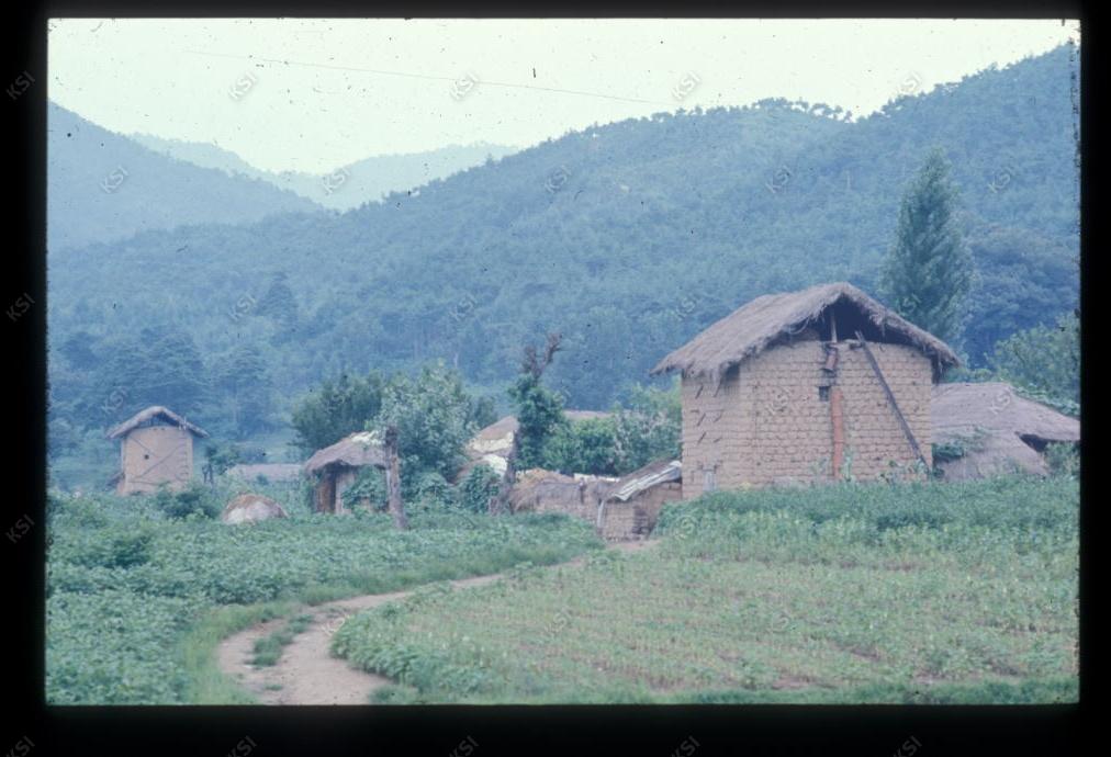 1975년 의인