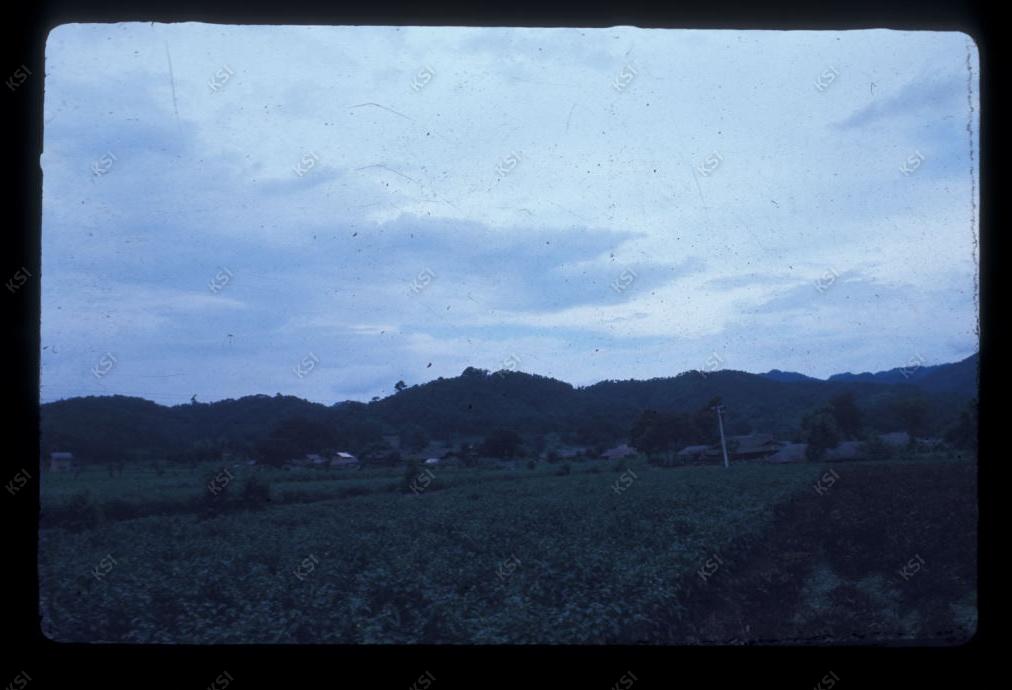 1975년 의인