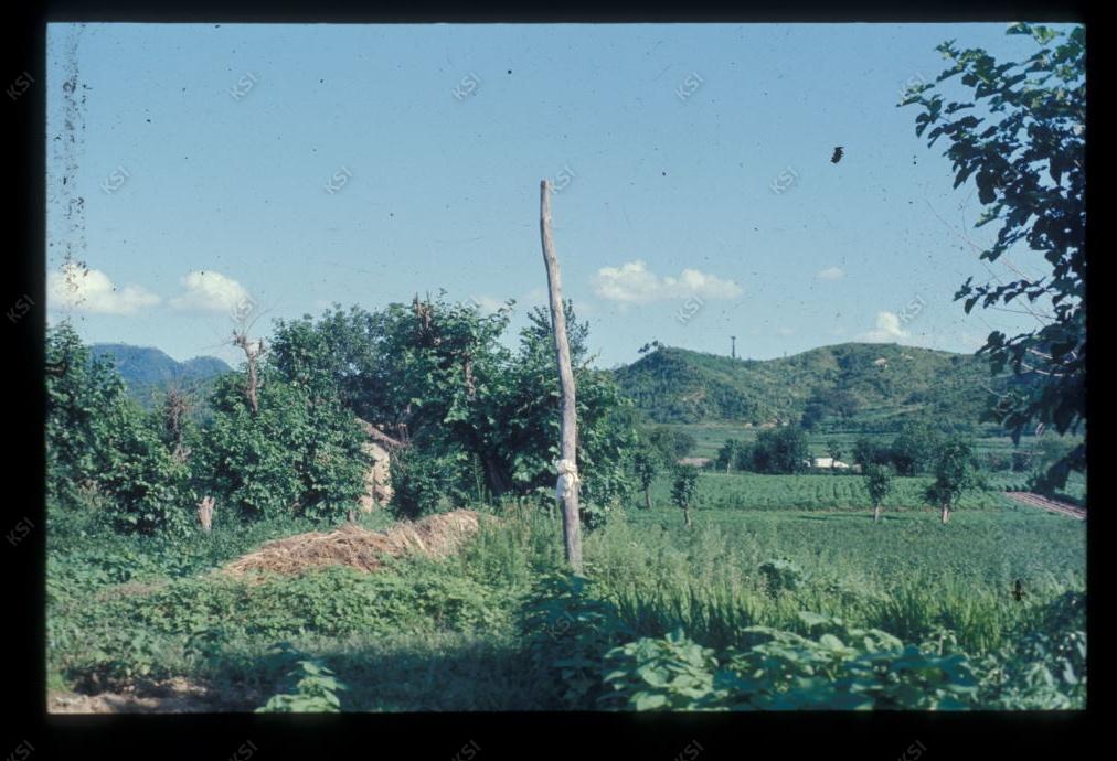 1975년 의인