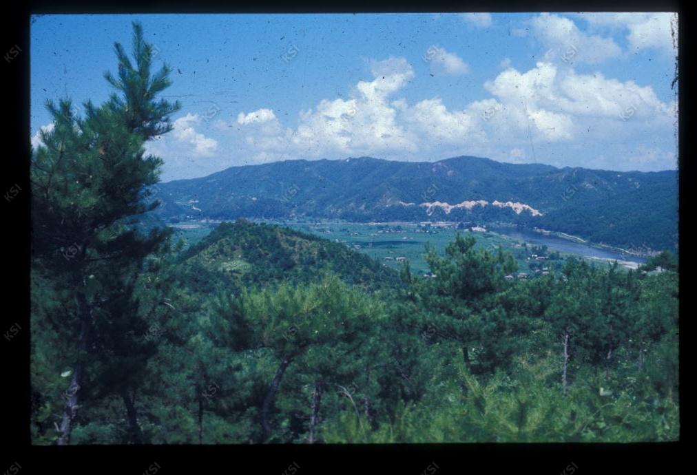 1975년 의인