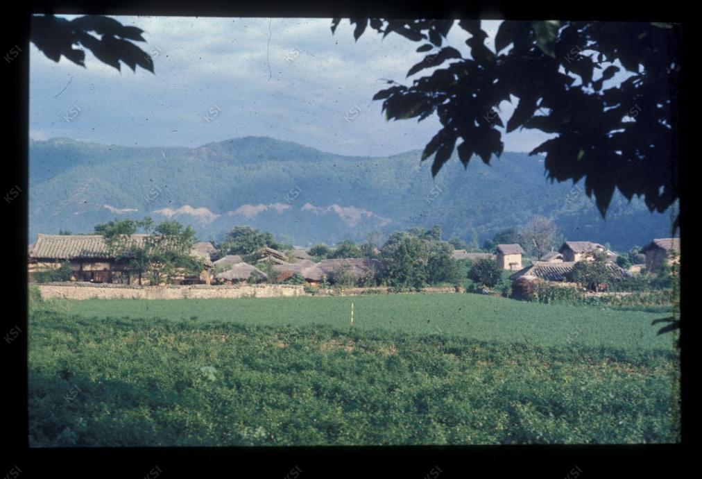 1975년 의인