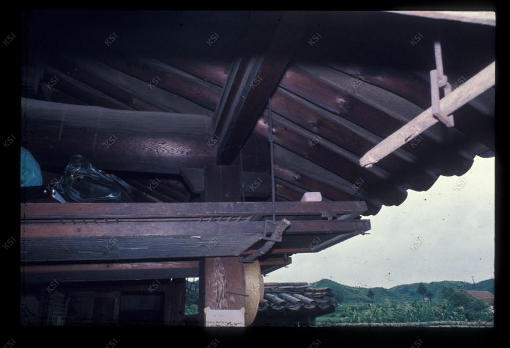 1975년 의인