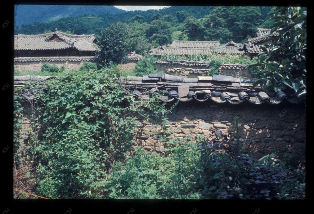 1975년 의인