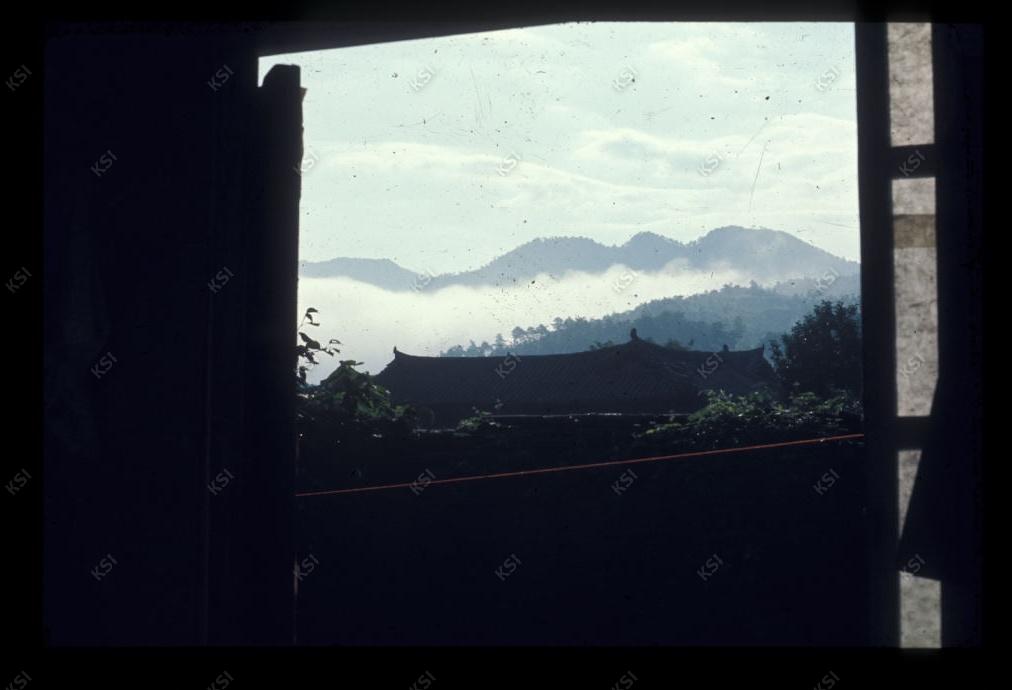 1975년 의인
